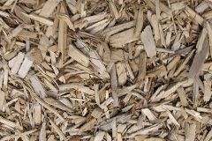 biomass boilers Harraton